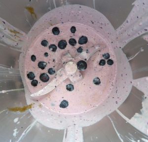 restliche Blaubeeren untermischen