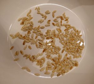 Pinienkerne rösten